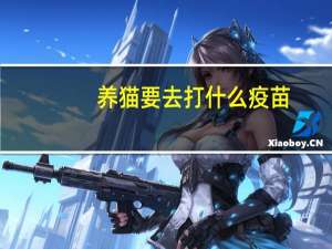养猫要去打什么疫苗