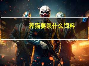 养猫要喂什么饲料