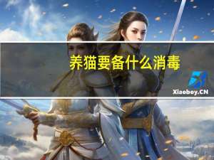 养猫要备什么消毒