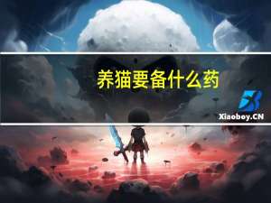 养猫要备什么药