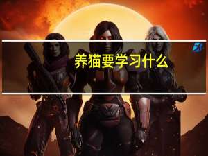 养猫要学习什么