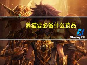 养猫要必备什么药品