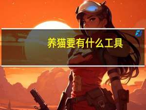 养猫要有什么工具