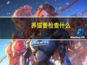 养猫要检查什么