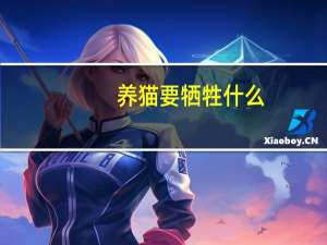 养猫要牺牲什么