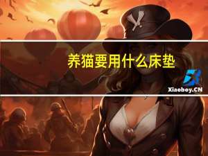 养猫要用什么床垫