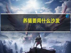 养猫要用什么沙发