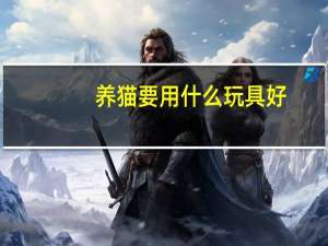 养猫要用什么玩具好