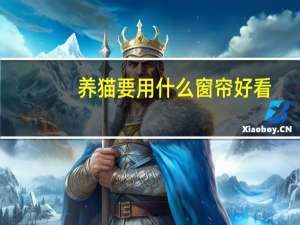 养猫要用什么窗帘好看
