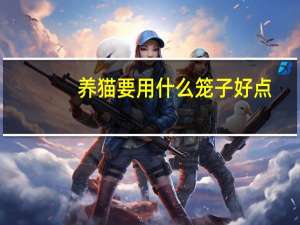 养猫要用什么笼子好点