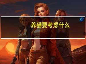 养猫要考虑什么