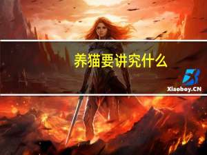 养猫要讲究什么