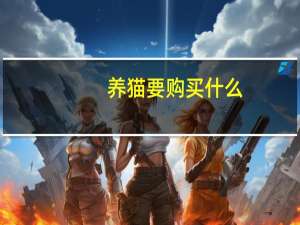 养猫要购买什么