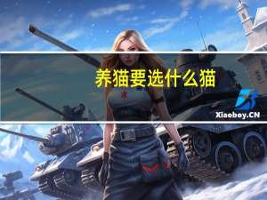 养猫要选什么猫
