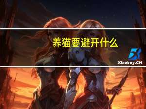 养猫要避开什么