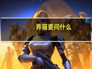 养猫要问什么