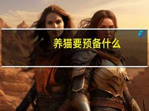 养猫要预备什么