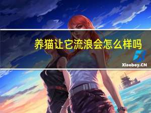 养猫让它流浪会怎么样吗