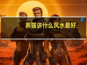 养猫讲什么风水最好