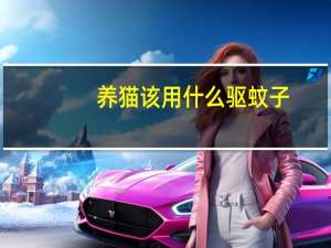 养猫该用什么驱蚊子
