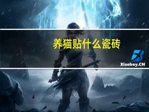养猫贴什么瓷砖