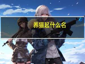 养猫起什么名