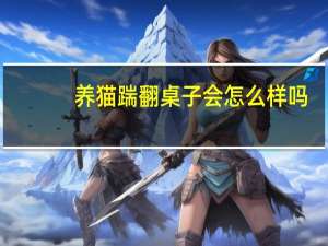 养猫踹翻桌子会怎么样吗