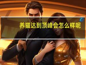 养猫达到顶峰会怎么样呢