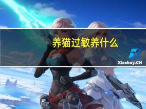 养猫过敏养什么