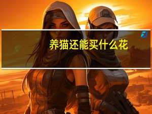 养猫还能买什么花