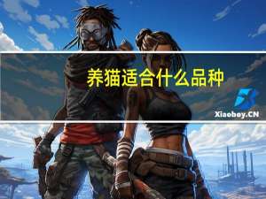 养猫适合什么品种