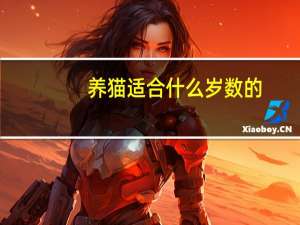 养猫适合什么岁数的