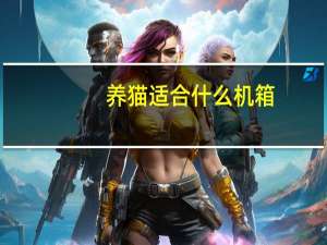 养猫适合什么机箱