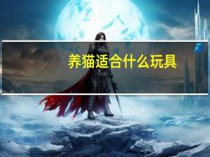 养猫适合什么玩具