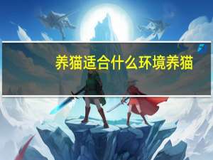 养猫适合什么环境养猫