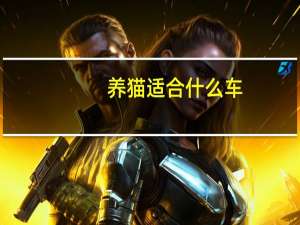养猫适合什么车