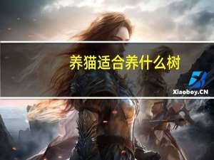 养猫适合养什么树