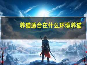 养猫适合在什么环境养猫