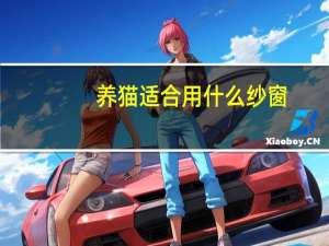 养猫适合用什么纱窗
