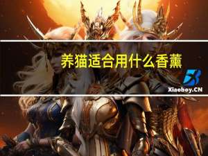 养猫适合用什么香薰