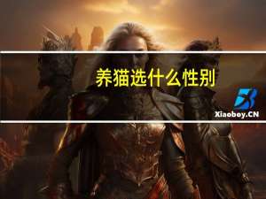 养猫选什么性别