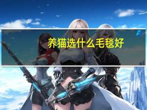 养猫选什么毛毯好