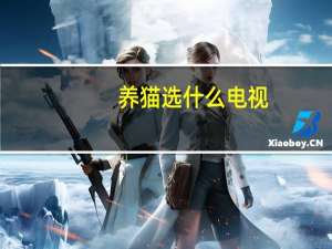 养猫选什么电视