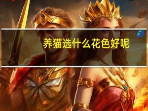 养猫选什么花色好呢
