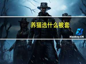 养猫选什么被套