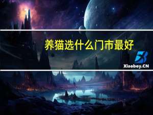 养猫选什么门市最好