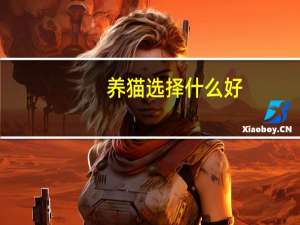 养猫选择什么好