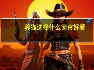 养猫选择什么窗帘好看