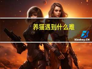 养猫遇到什么难