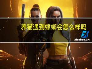 养猫遇到蟑螂会怎么样吗